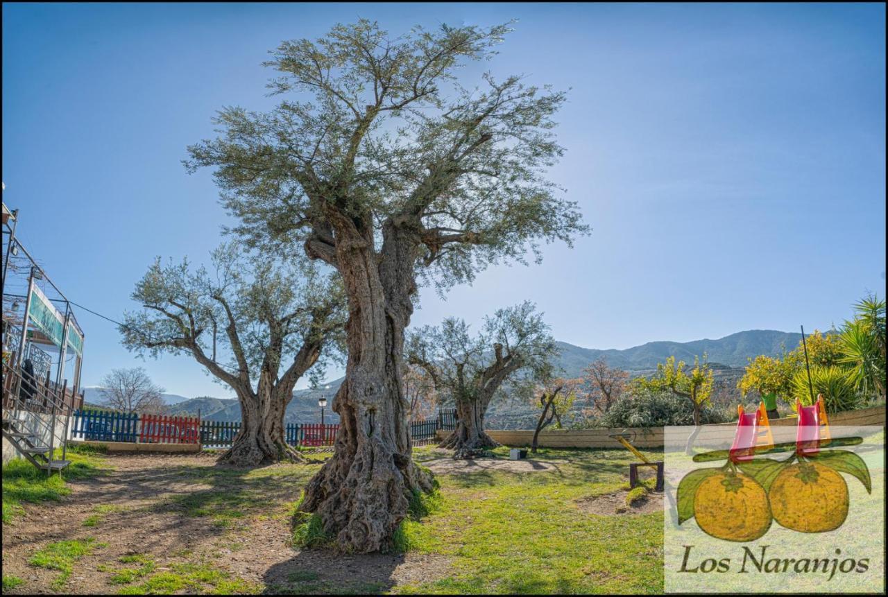 Hostal Y Apartamento Rural Los Naranjos Melegis Eksteriør bilde