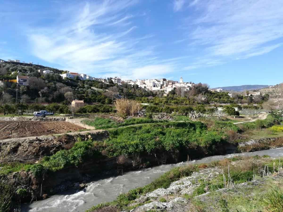 Hostal Y Apartamento Rural Los Naranjos Melegis Eksteriør bilde