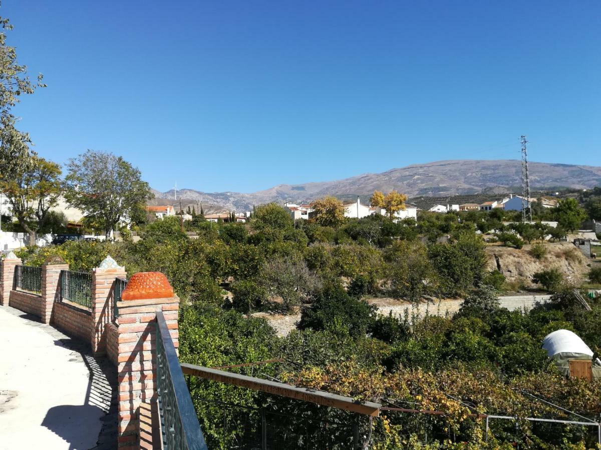 Hostal Y Apartamento Rural Los Naranjos Melegis Eksteriør bilde